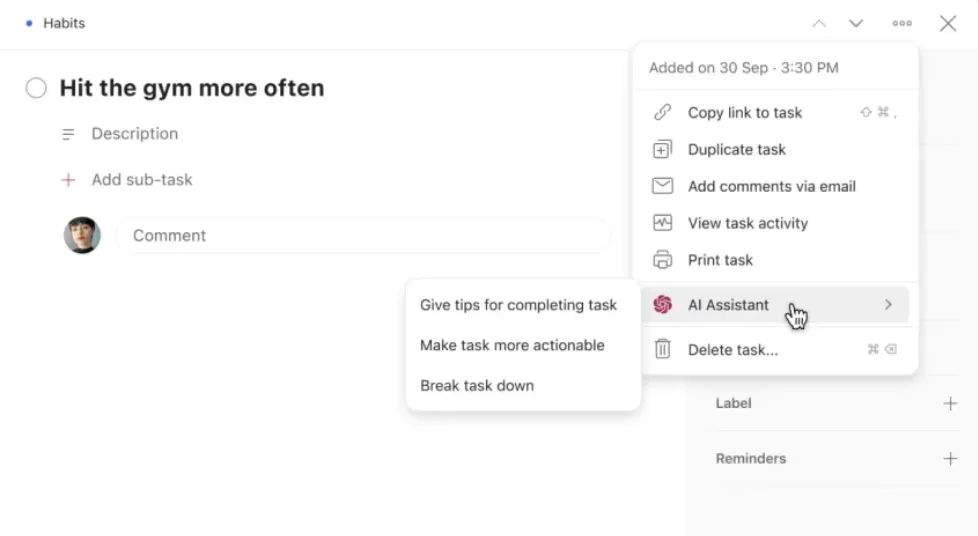 Todoist