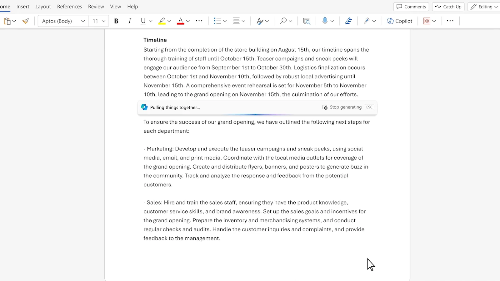 Microsoft Word