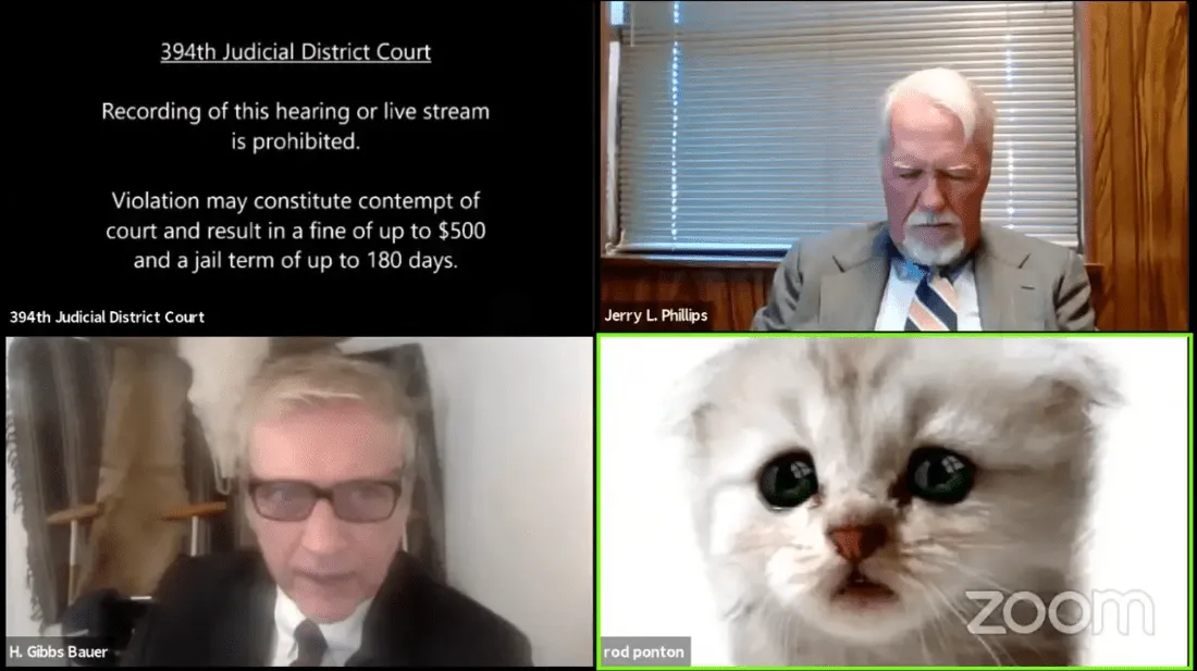 L'incident du « chat avocat » : anecdotes amusantes au travail