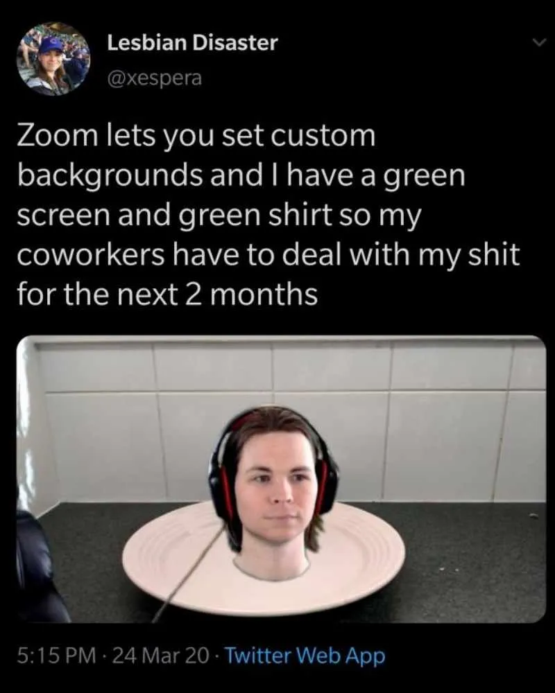 Hádám, že jsem napůl tady, napůl pryč! zoom meme
