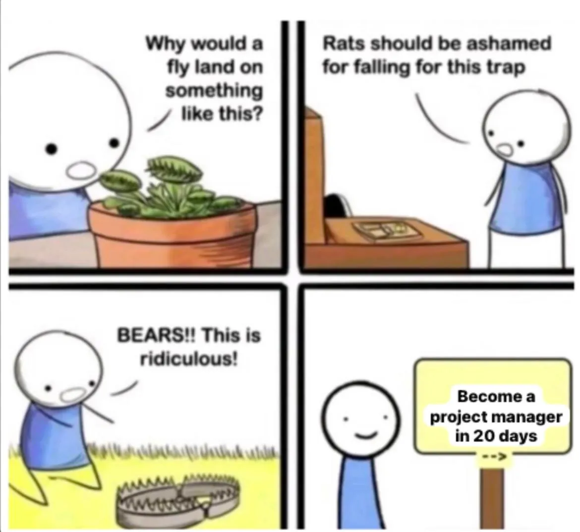 Legyen projektmenedzser mém