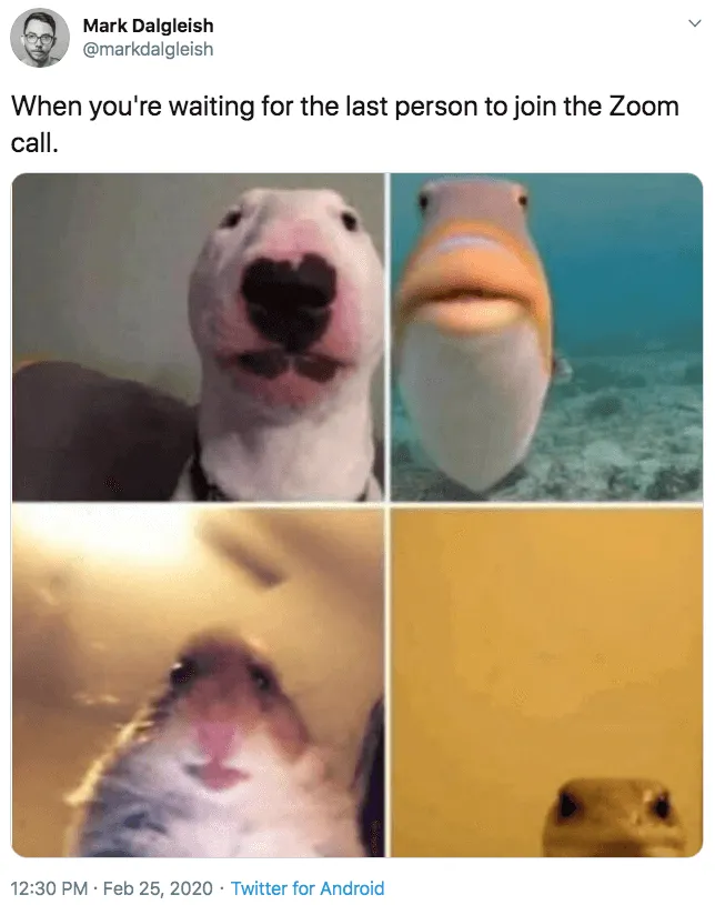 Čekání na ostatní, až se připojí k schůzce Meme pro Zoom