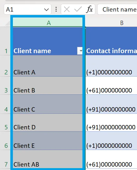Bedingte Formatierung in Excel: So erstellen Sie eine Datenbank für Clients in Excel