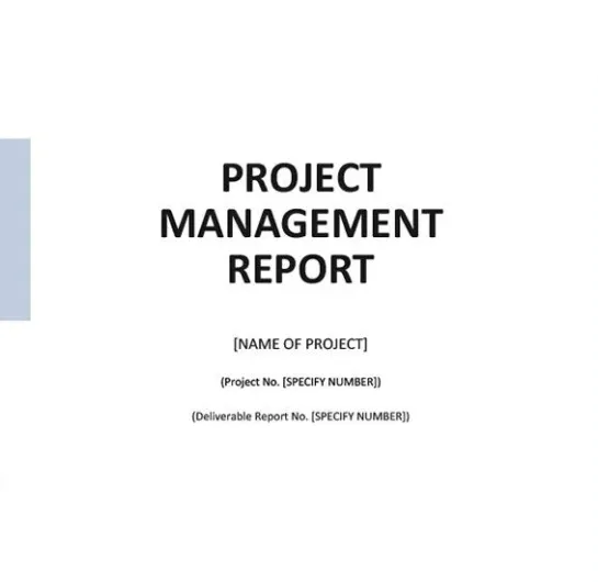 Egyszerű projektmenedzsment-jelentéssablon a Template.net-től