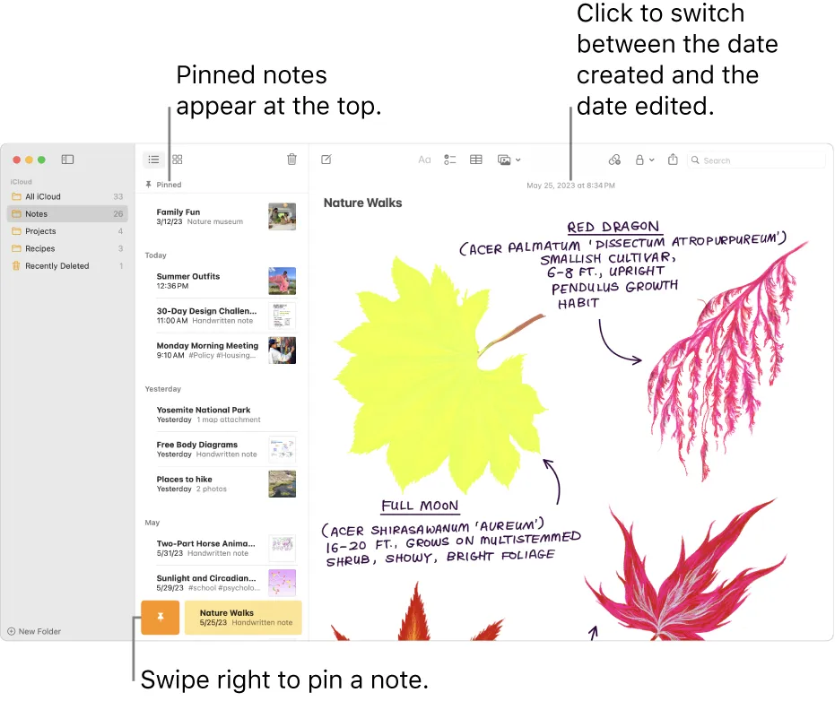 via Apple Notes：Appleユーザー向けのEvernote代替アプリ
