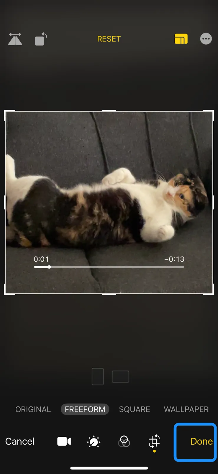 変更を保存