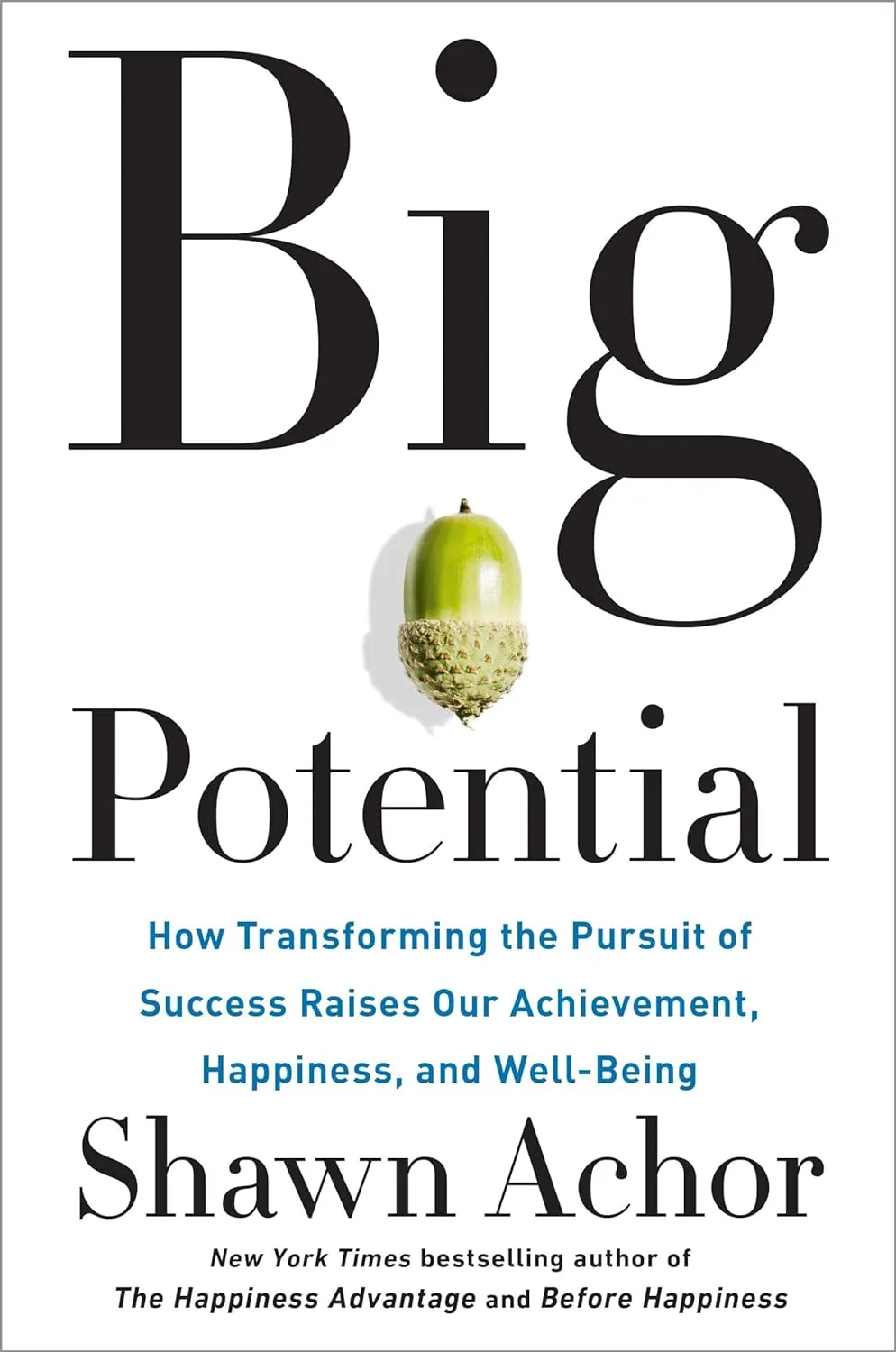 Big Potential, de Shawn Achor