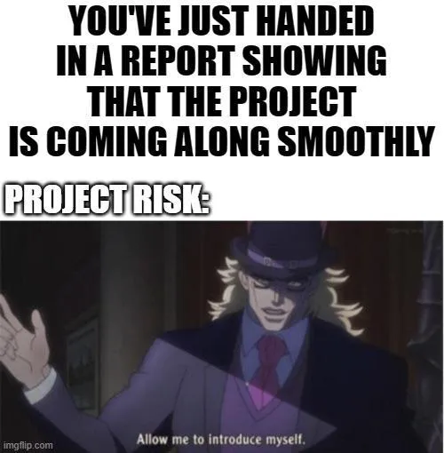 projektkockázati mém
