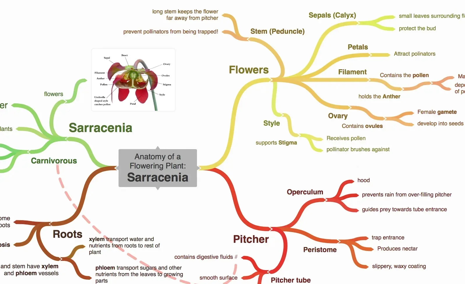 Coggle: herramientas de IA para la creación de mapas mentales
