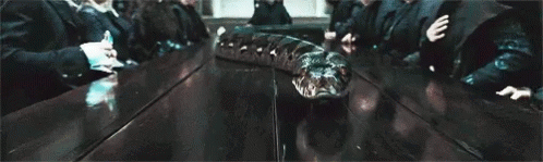 snake