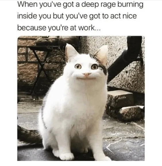 Meme viral sobre el trabajo: chistes sobre recursos humanos.